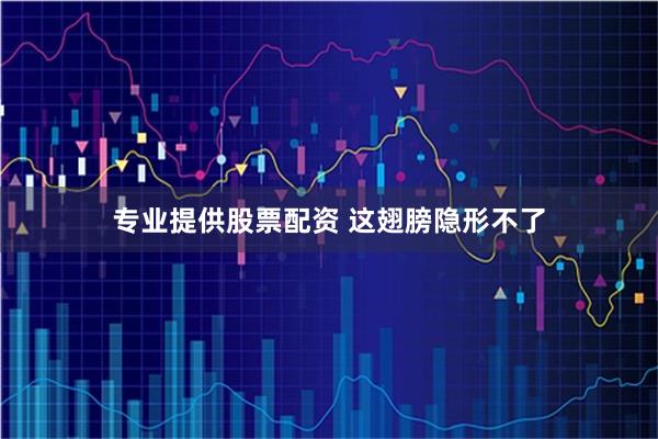 专业提供股票配资 这翅膀隐形不了
